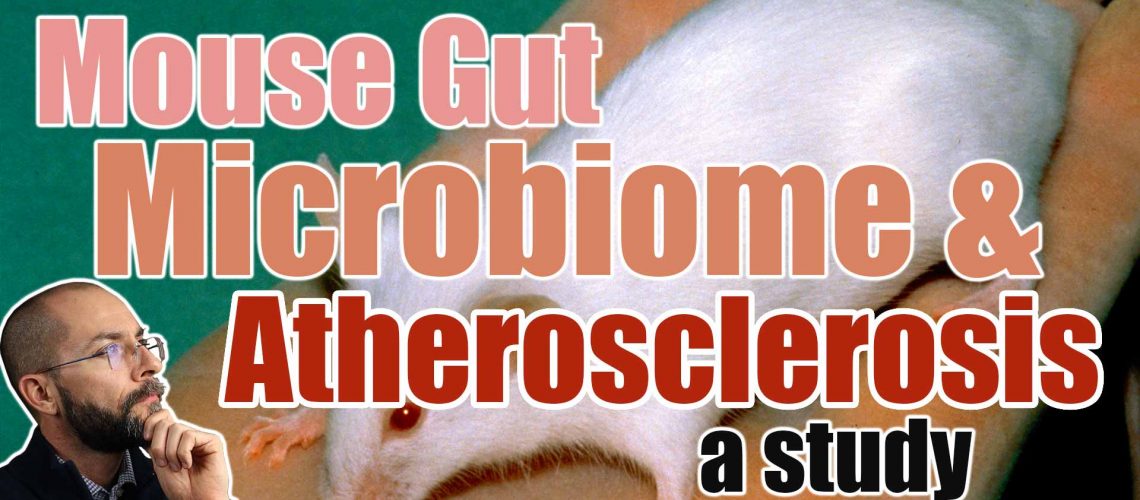 Changing-Gut-Microbiome-in-Mice-Found-to-Lower-Atherosclerosis